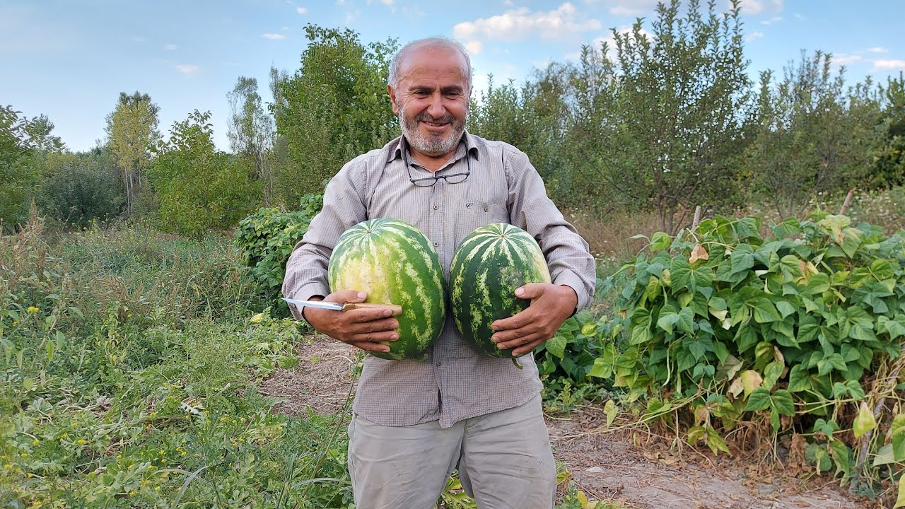 Kime nasip kime kısmet günlük vlog