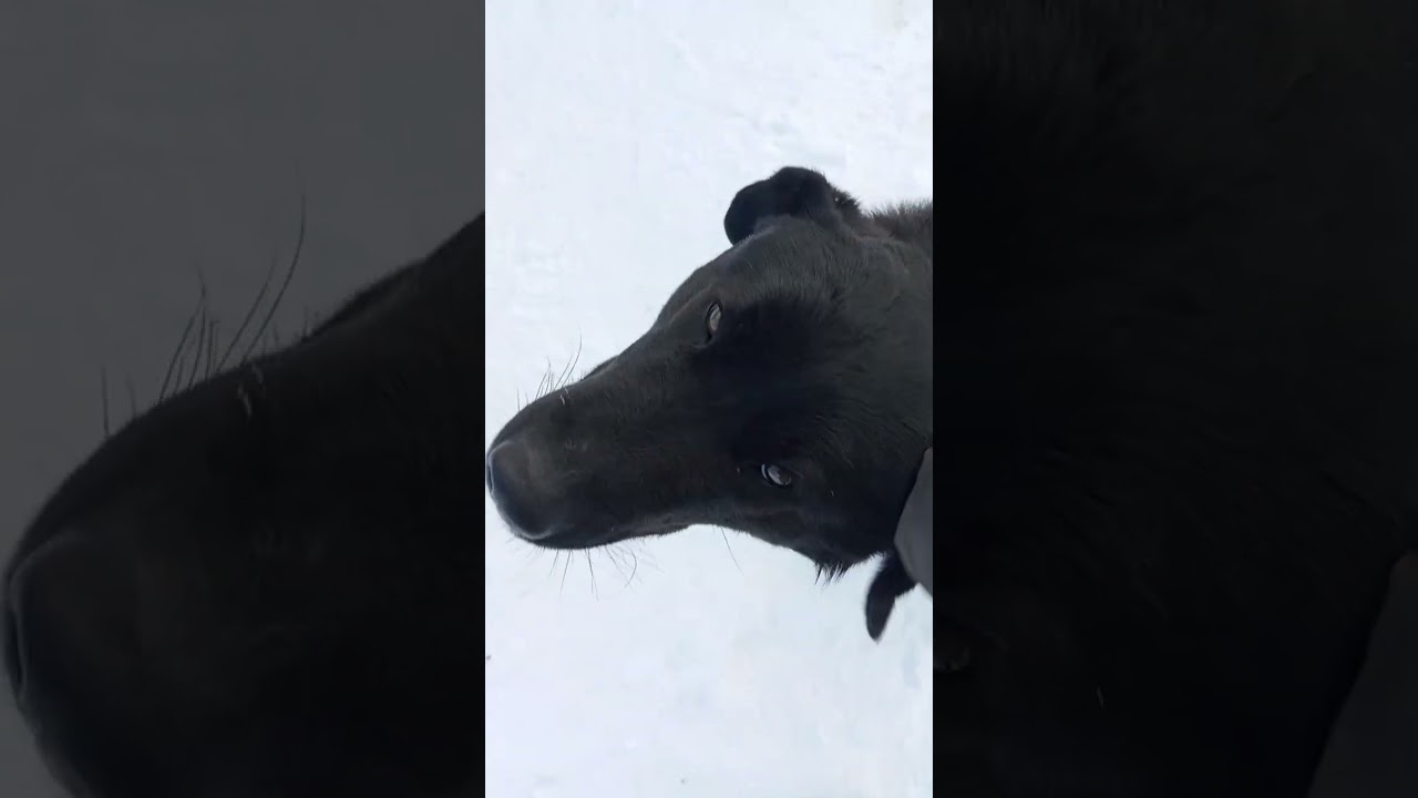 Всем приветик 👋. Снова я с вами😊