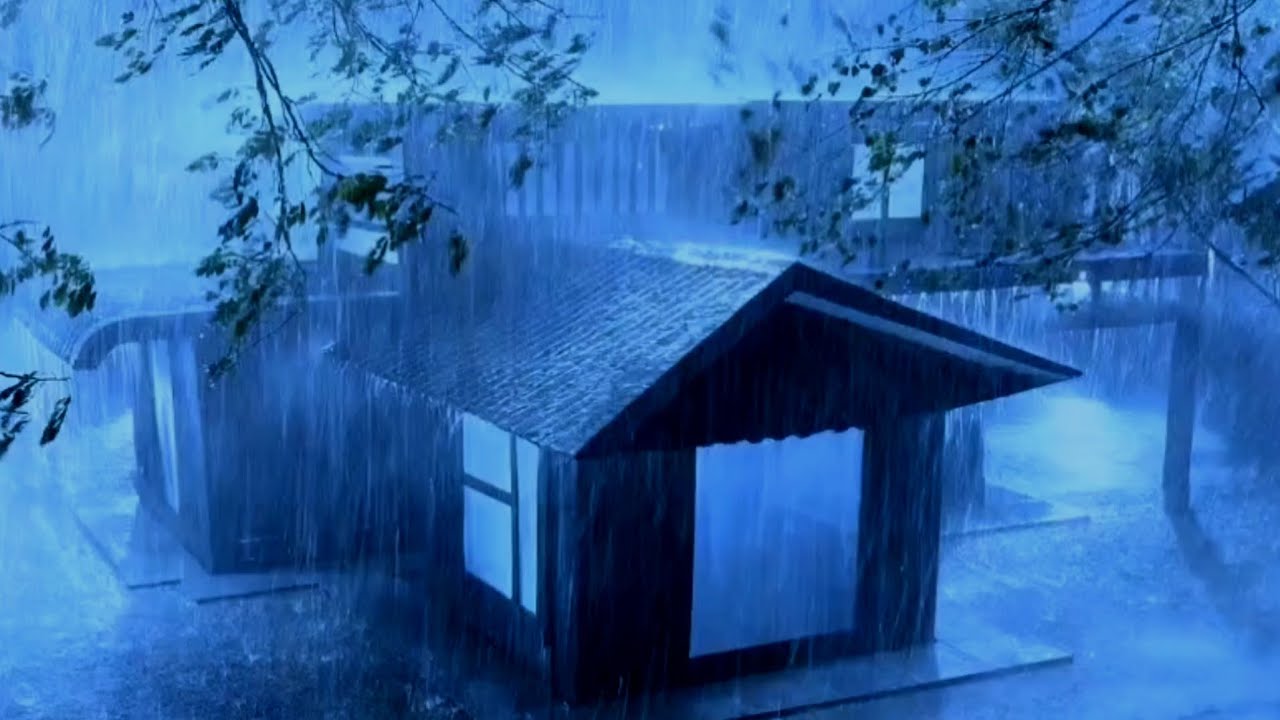 Lull Into Deep Sleep with the Roaring Sound of Rain & Terrible Thunder on the Tin Roof in the Night