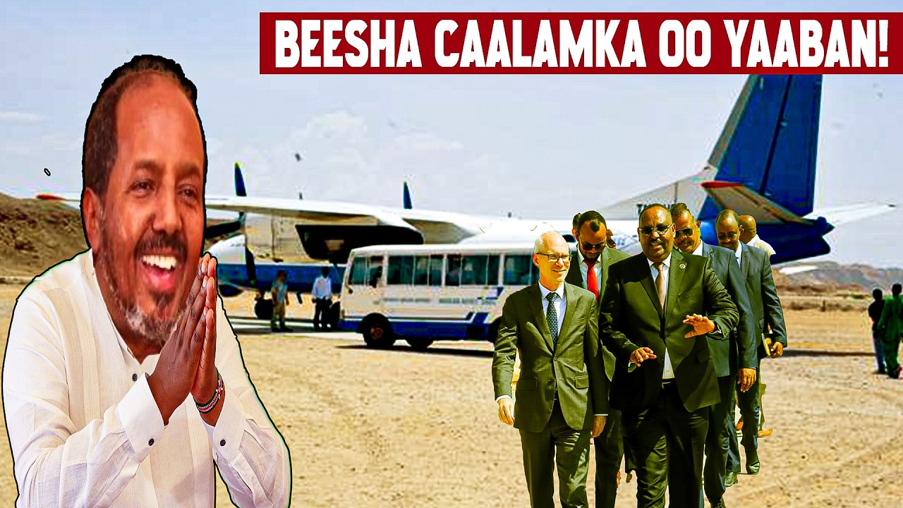 DEG DEG: Puntland & Jubaland oo War Lama Filaan ku Noqotay Xasan Sheekh – Beesha Caalamka oo Yaaban