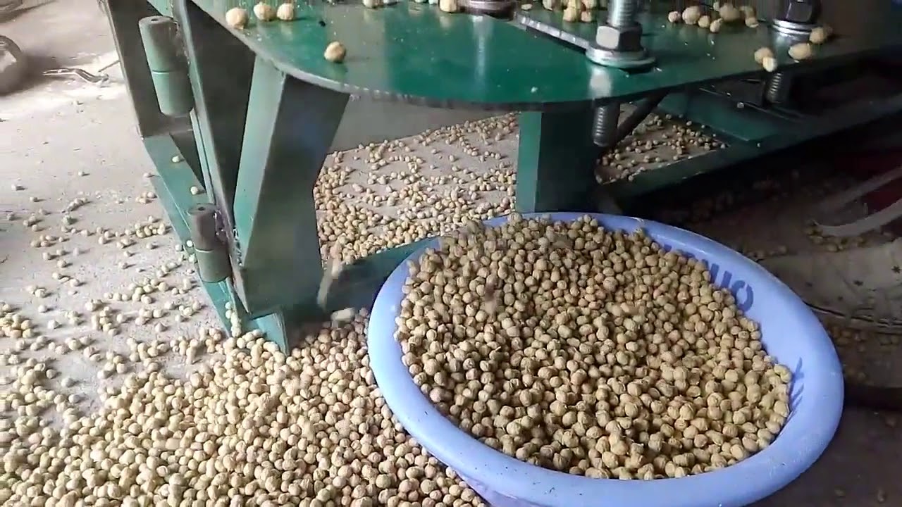 machine &agrave; granul&eacute;s de poisson / poissons flottant aliments granul&eacute;s moulin