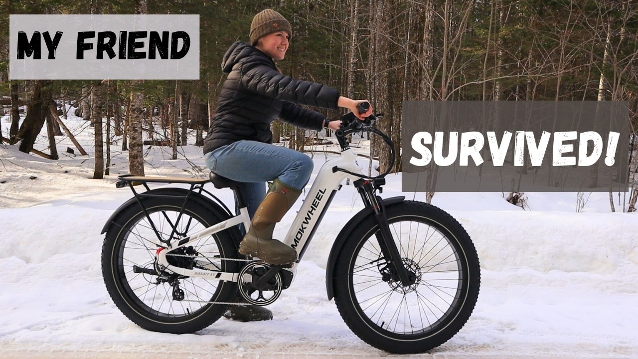 Adventure with All Terrain Electric Bike | Mokwheel eBike