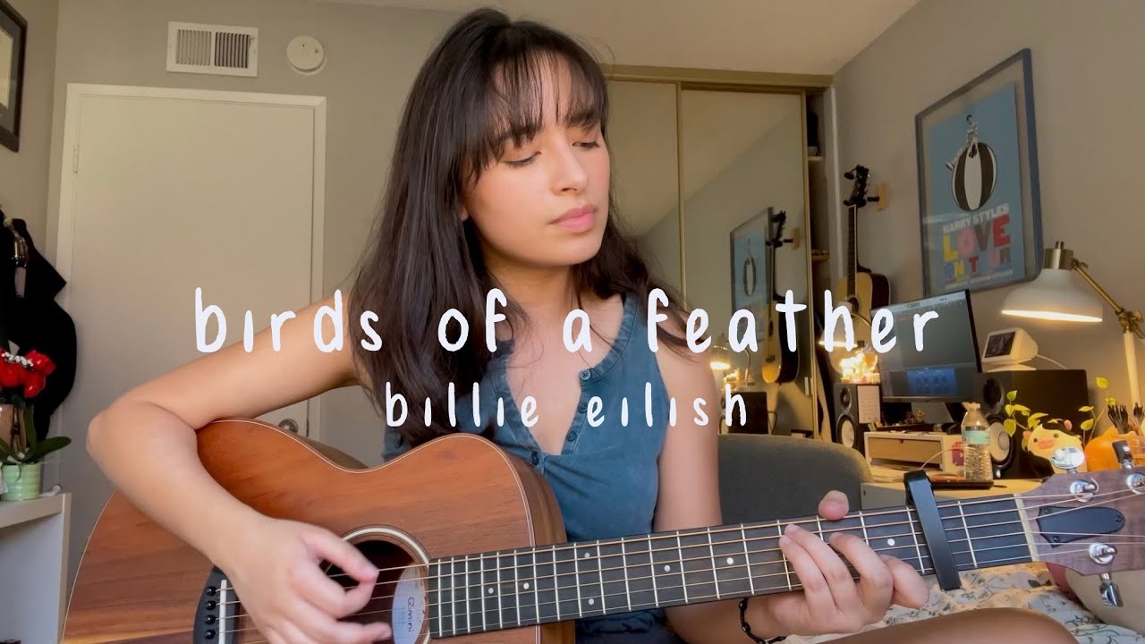 birds of a feather - billie eilish (cover)