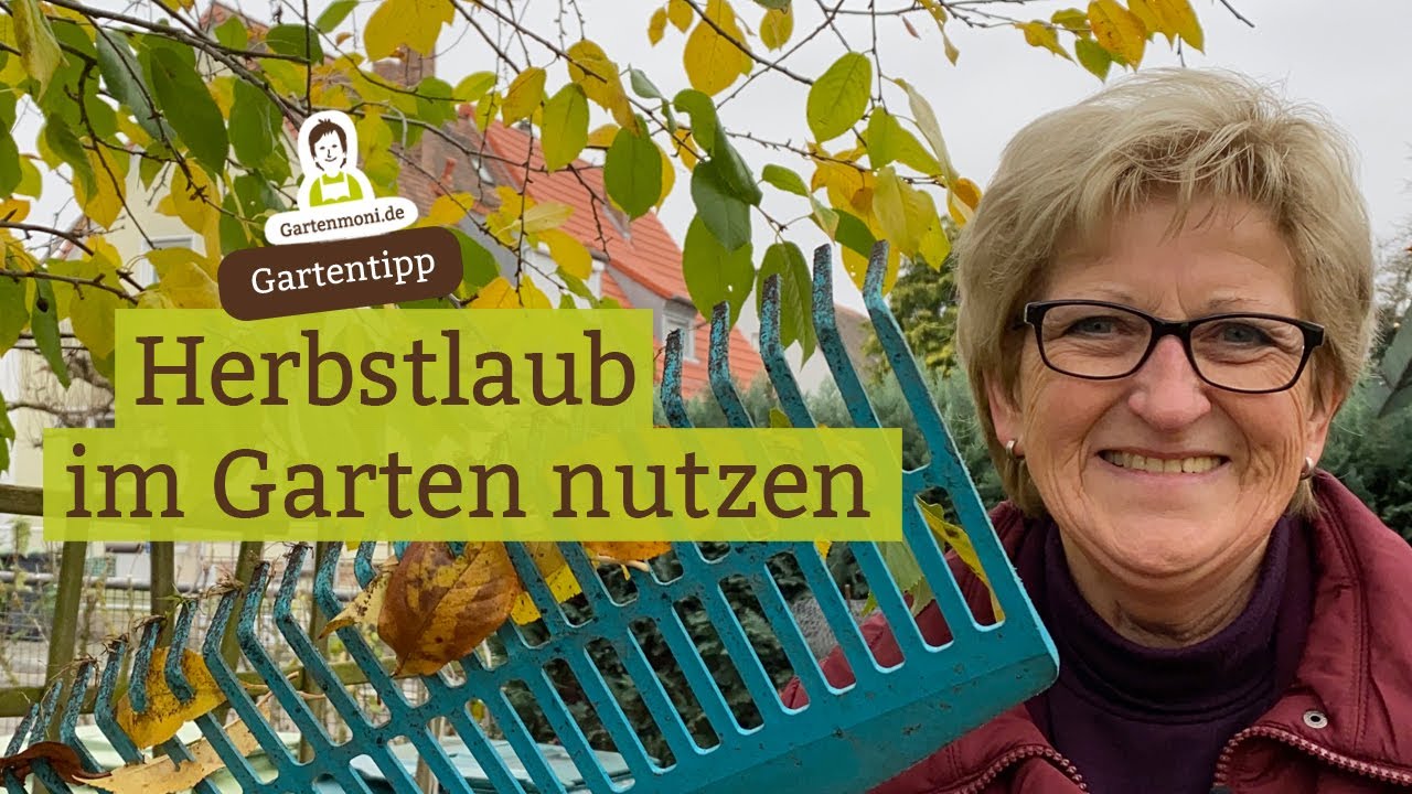 Was machen mit Herbstlaub? Laub von Obstb&auml;umen sinnvoll im Garten nutzen