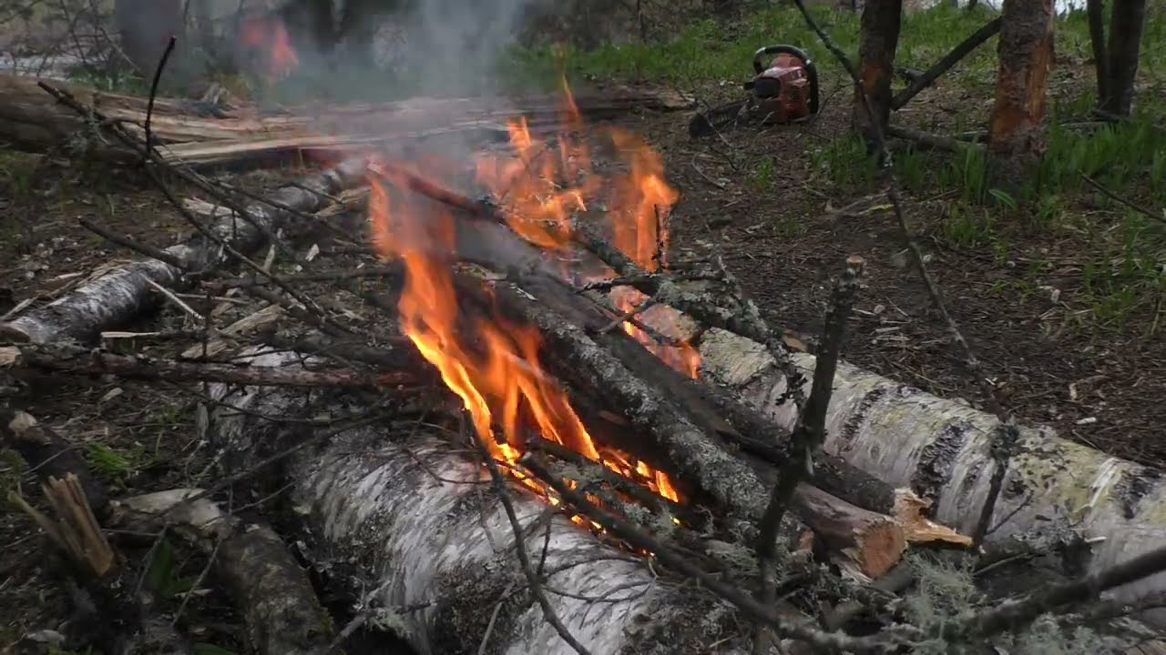 Строю стоянку для отдыха в дикой Сибирской тайге