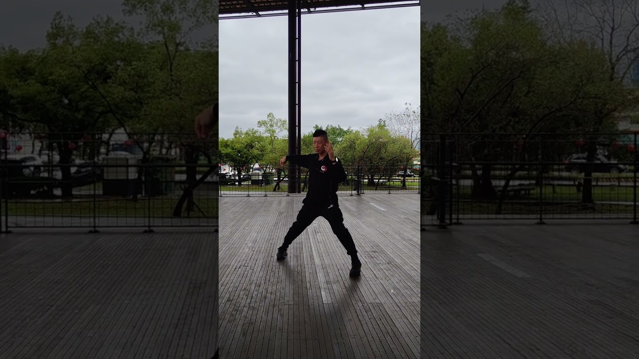 熊氏太極拳第一段分解說明(側面)