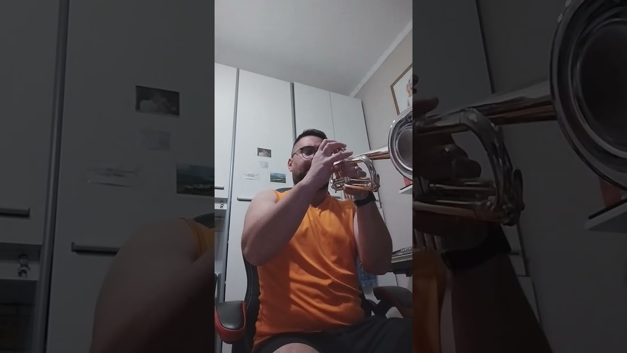 schilke x4 on Harry James trumpet concerto