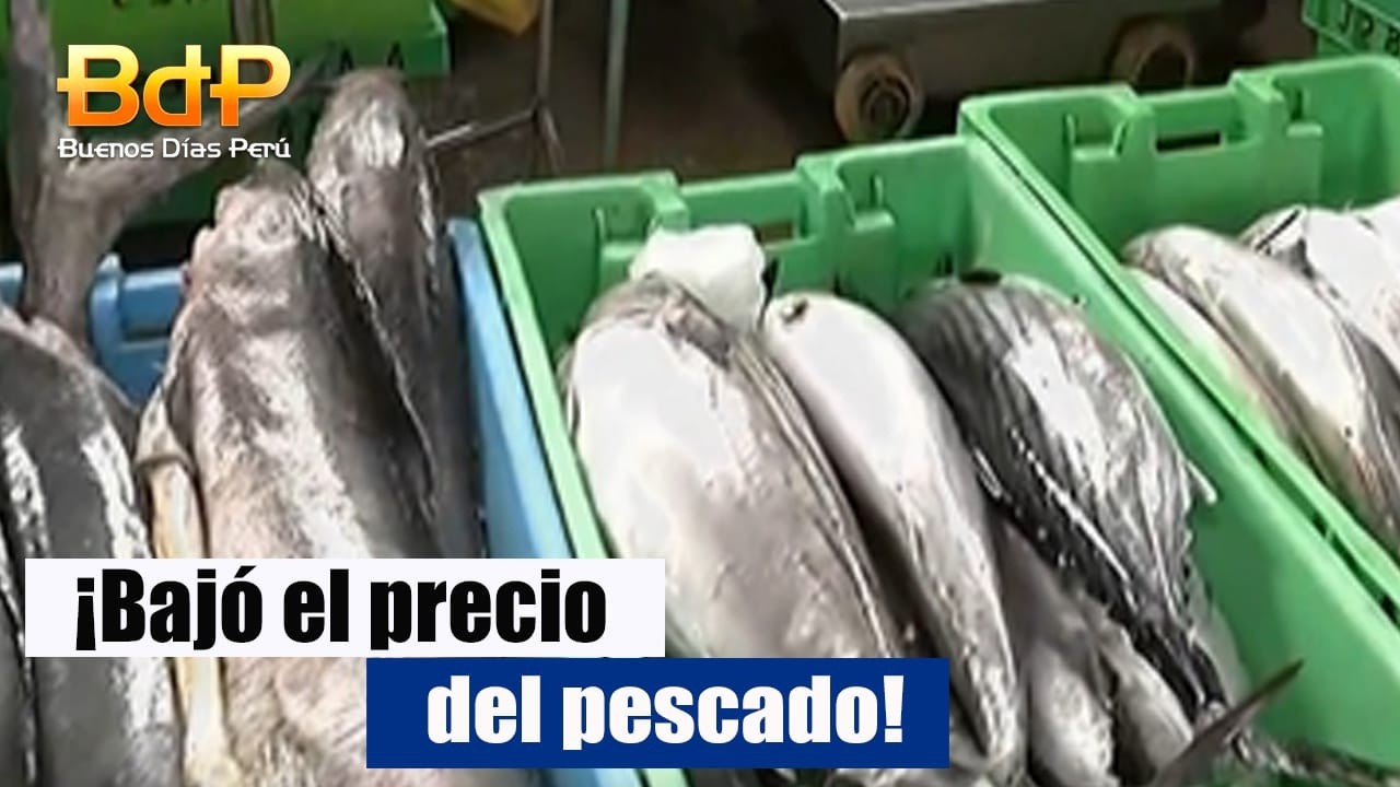 ¡Atención amas de casa! Bonito desde S/3 en terminal de Villa María del Triunfo