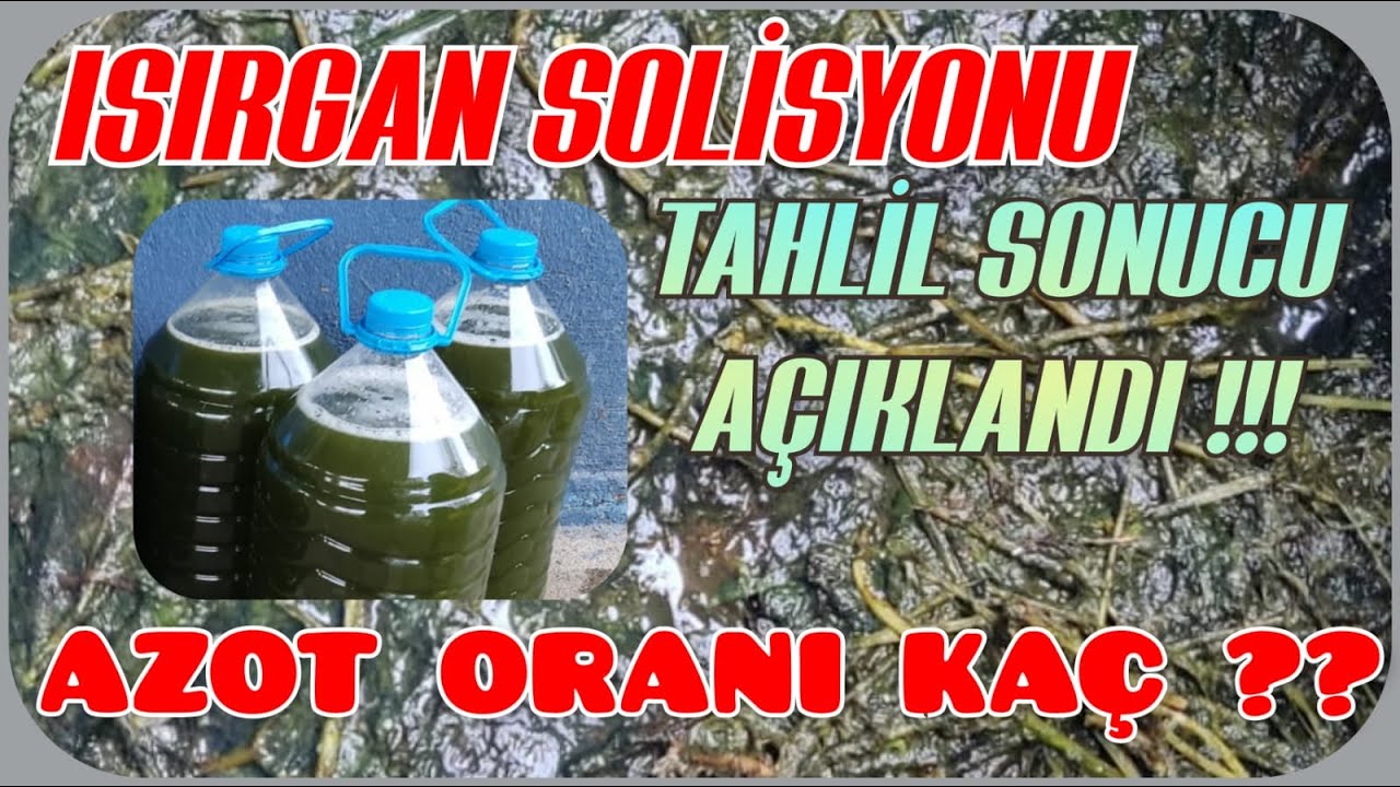 "Isırgan Otu Çözeltisi" ANALİZ SONUÇLARI