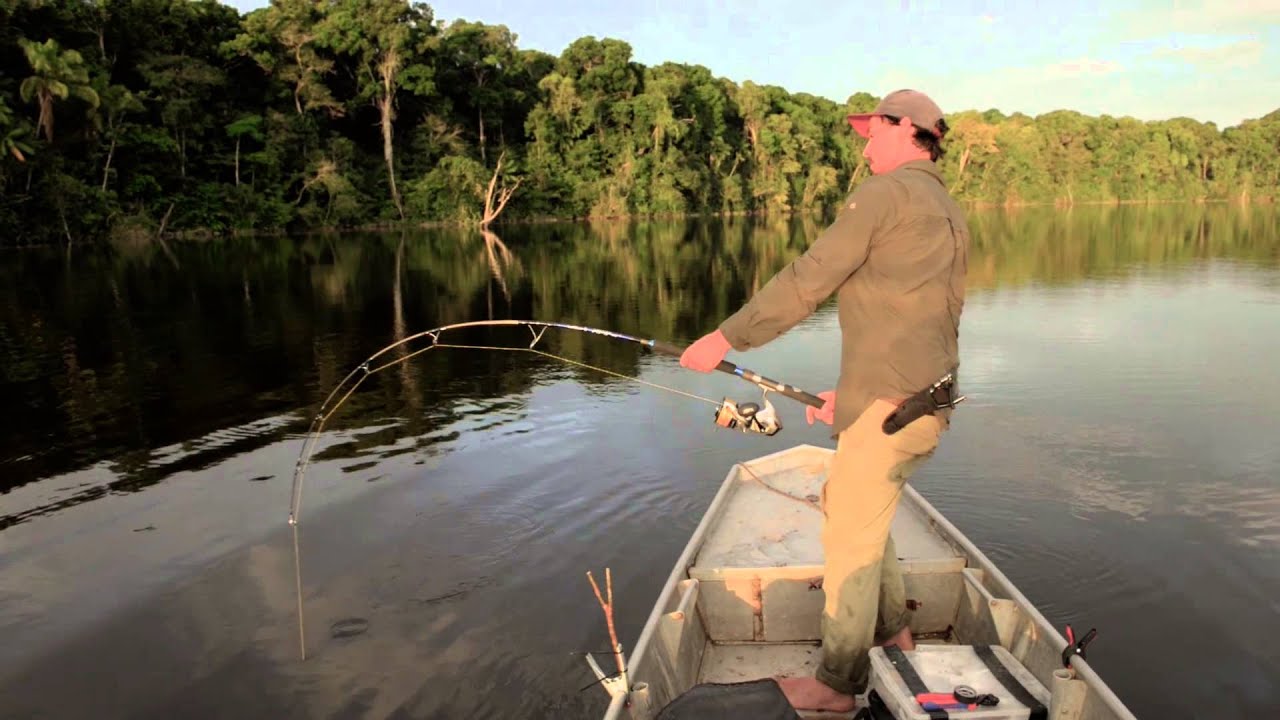 BEST PIRAIBA (LAU LAU) FISHING IN SOUTH AMERICA, CATCHING MONSTER FISH BELOW THE WONOTOBO FALLS