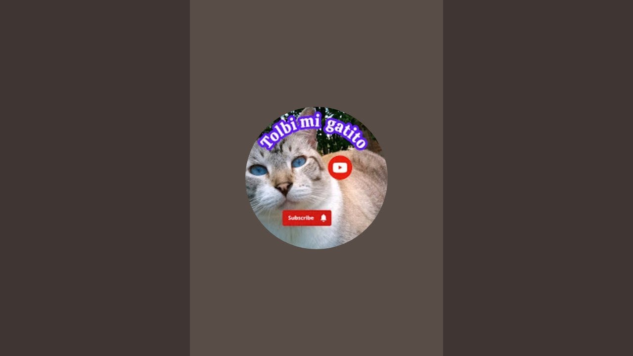 Tolbi 😻 Mi Gatito😻 está en vivo