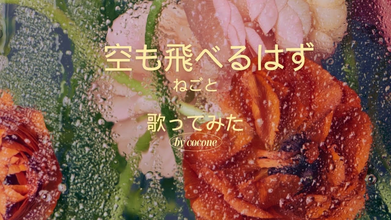『空も飛べるはず』　ねごと　歌ってみた
