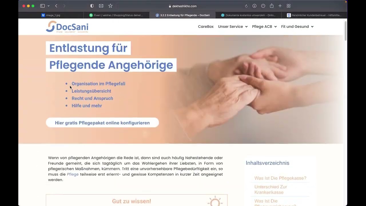 3.2.2 - Entlastung f&uuml;r Pflegende (Anjon Paul)