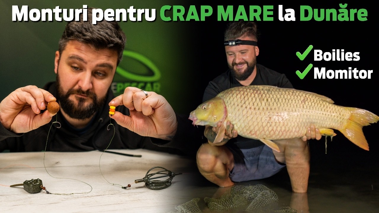Montura cu Boilies si Momitor pentru Crap pe Dunare | Atelierul MarelePescar | Pescuit la Crap