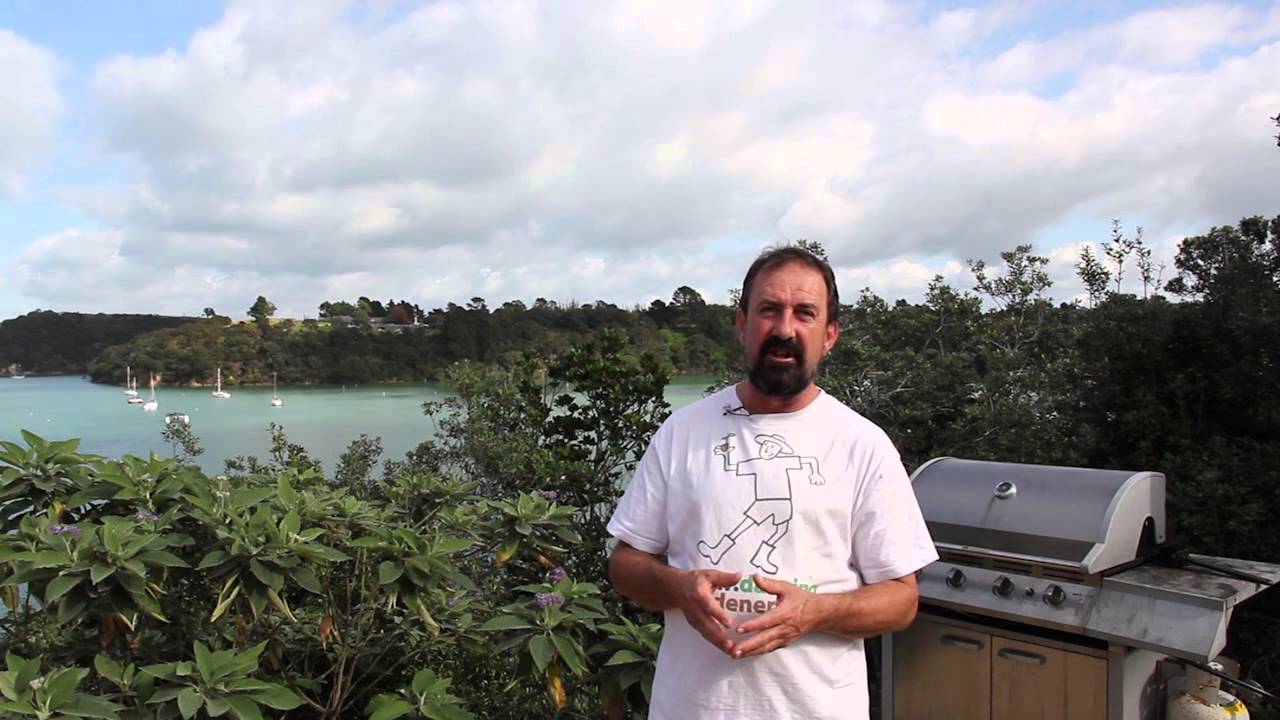 The Dancing Gardener: Roadside gardening