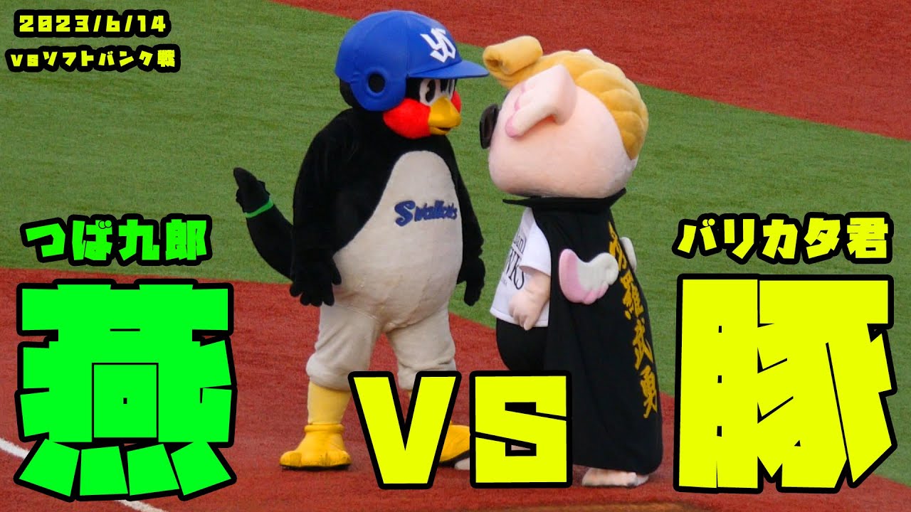 つば九郎vsバリカタくん　タイマン勝負で圧勝！？　2023/6/14 vsソフトバンク