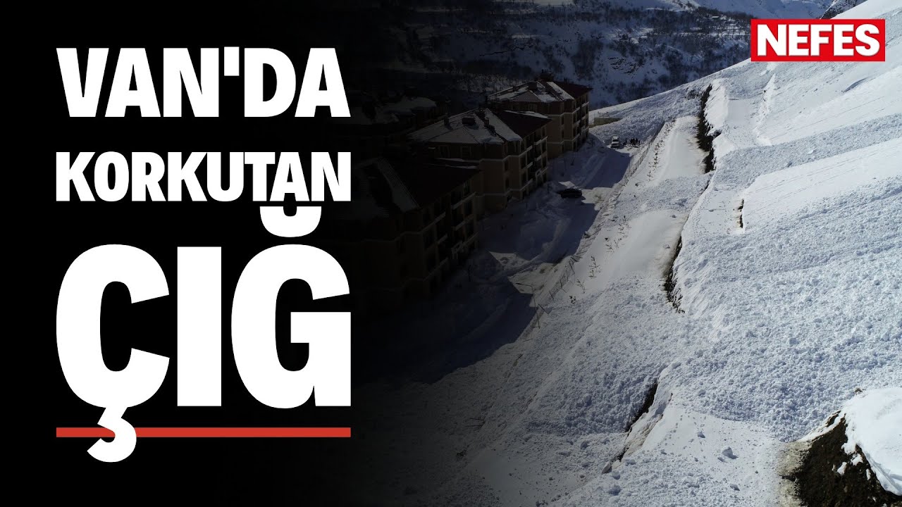 Van'da iki ayrı çığ düştü