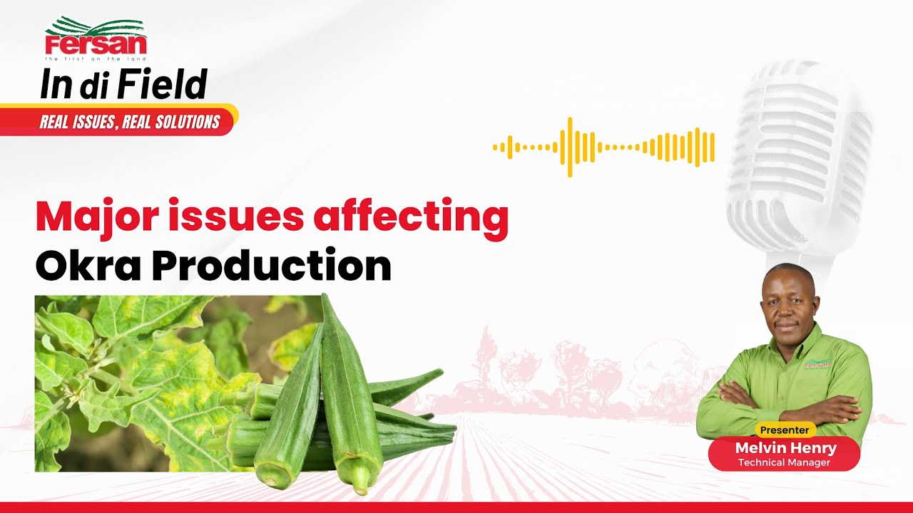 Major issues affecting Okra Production
