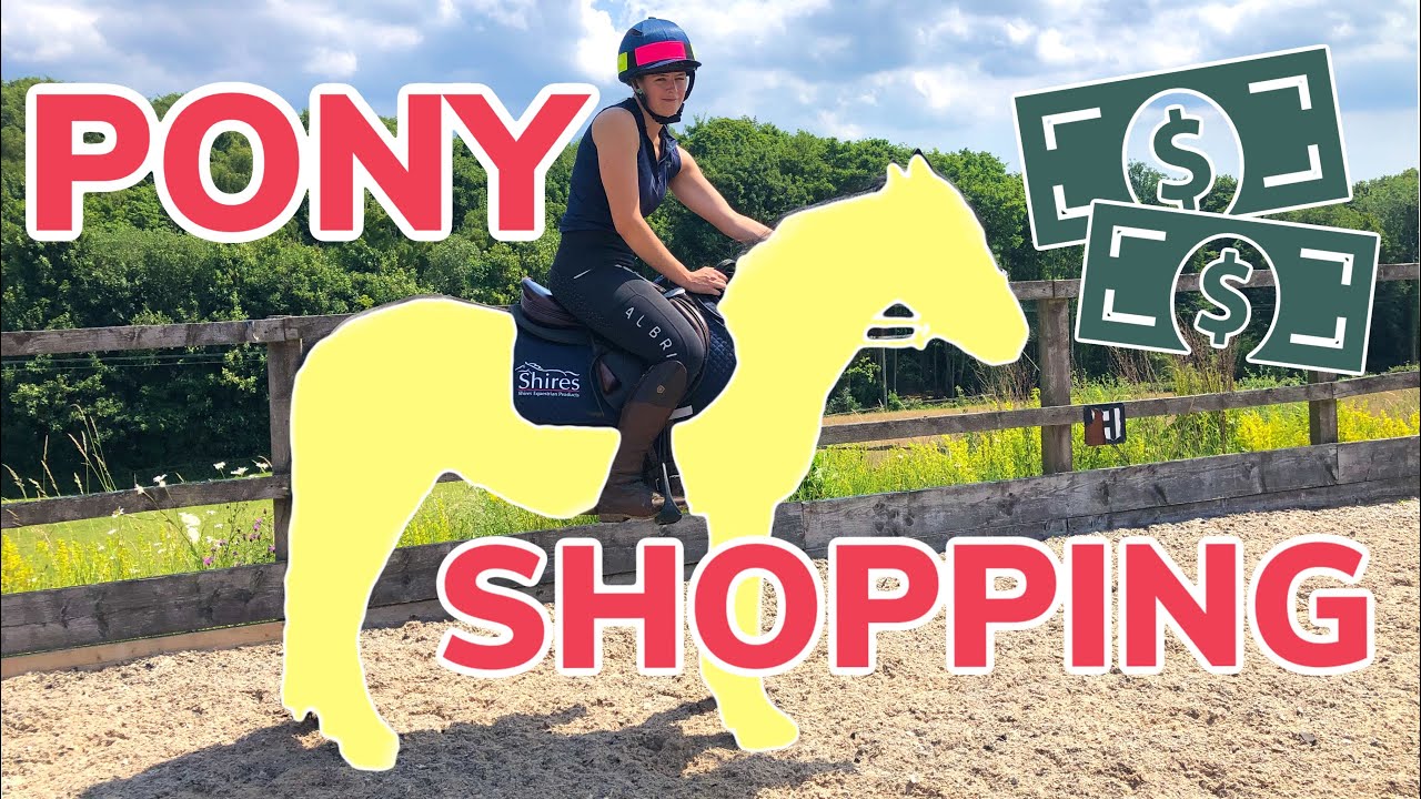 PONY SHOPPING ~ What we do when buying a new horse or pony & meet my NEW PONY!