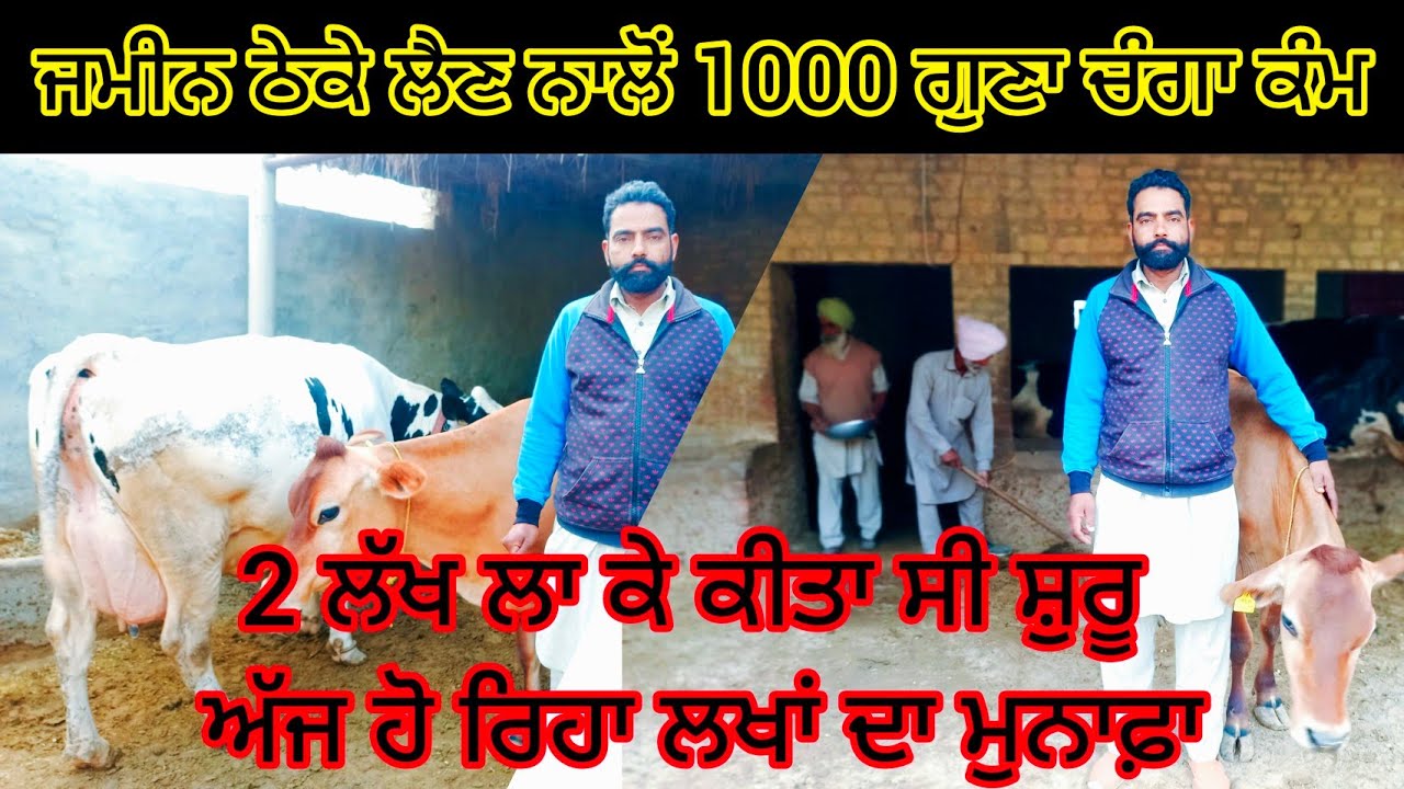 COW DAIRY FARMING | DAIRY FARM DA KAM KIVE START KARIYE | MINI COW DAIRY FARM 🔥🔥