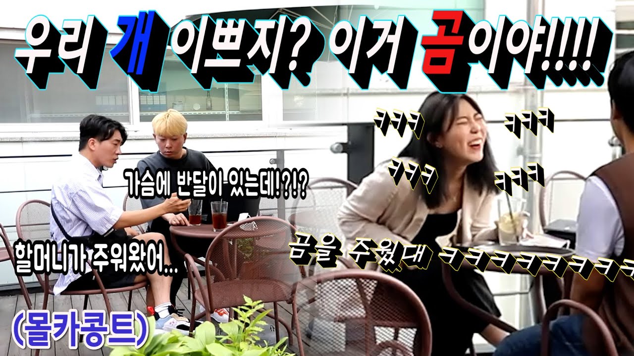 [몰카] 곰을 개인줄알고 기르고있는 친구ㅋㅋㅋㅋ에버랜드 직원에게 배우는 동물상식!! 흥 많은 대학생 새내기들의 해 맑은 웃음과 함께 해요~!!! 구독도 함께해요~~!!