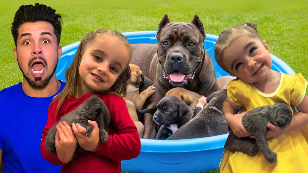 My Kids React to Getting New Puppies
