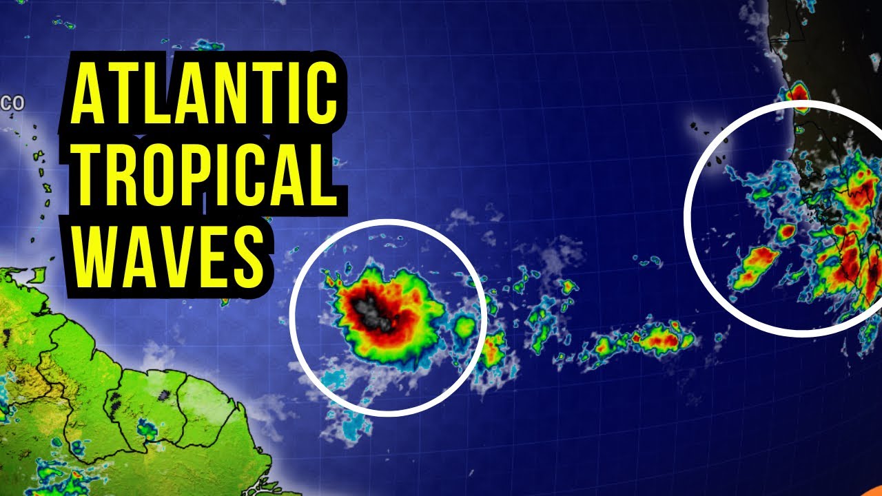 Tropical Waves on the Move...