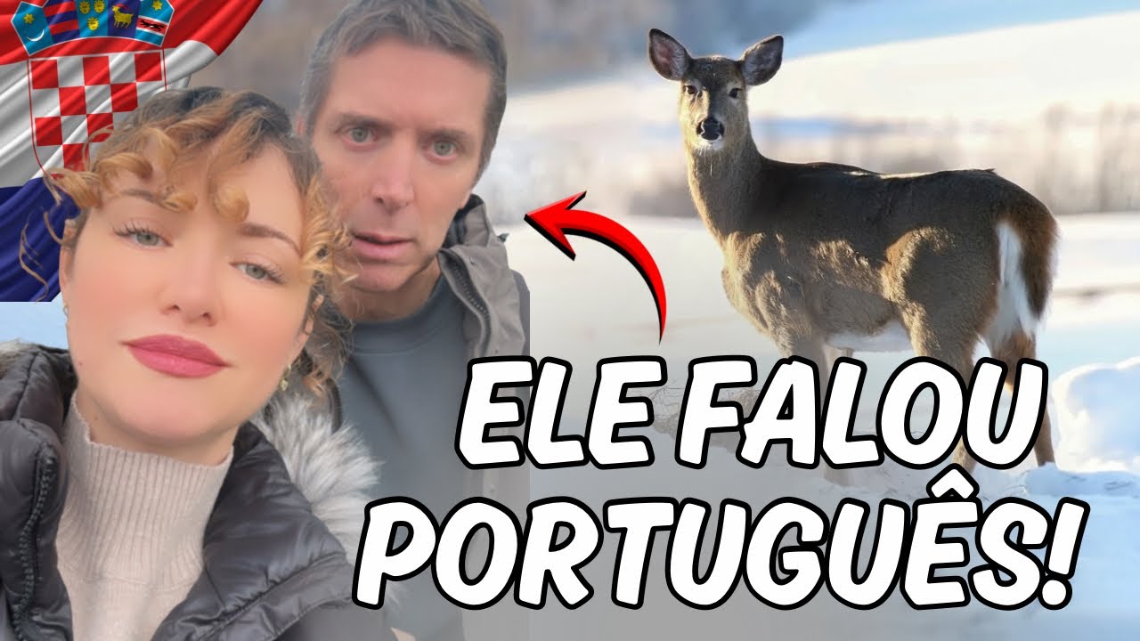 Tente Não Rir Com o Meu Gringo | Vídeos Aleatórios Que Não Foram ao Ar🇧🇷🇭🇷
