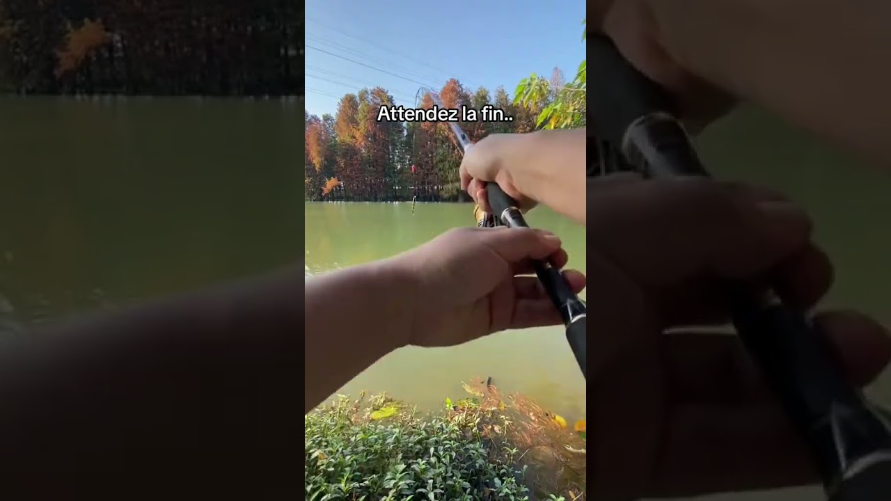 Ce leurre robot &eacute;lectrique est un vrai bijoux pour la p&ecirc;che !😍 #p&ecirc;che #fishing #poisson #leurre