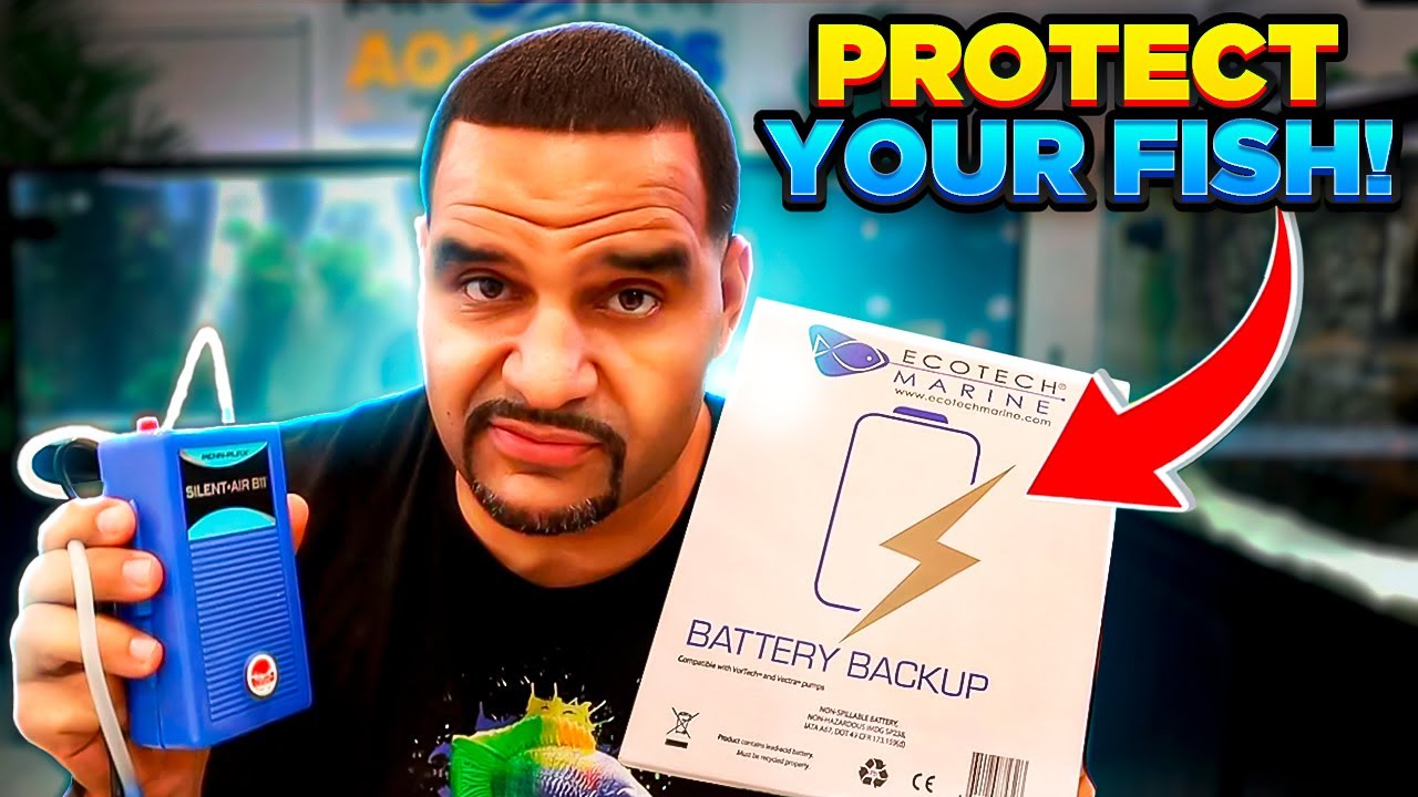 This ONE Step Could Save Your ENTIRE Tank!