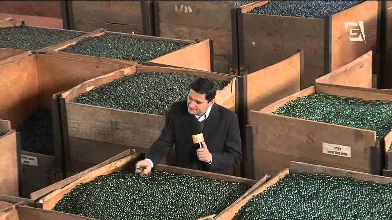 Bolinha de gude ainda faz a alegria das crianças