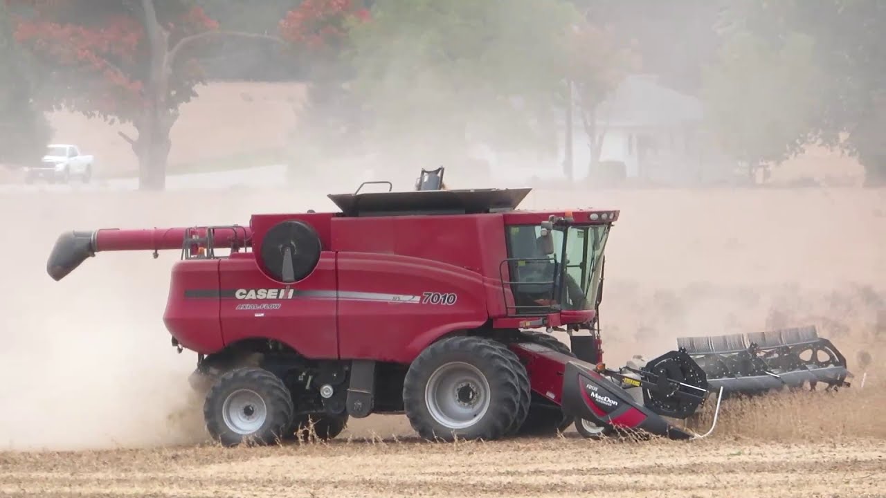 Soybean Harvest 2020 | Case IH 7010 Harvesting Soybeans | Harvest 2020