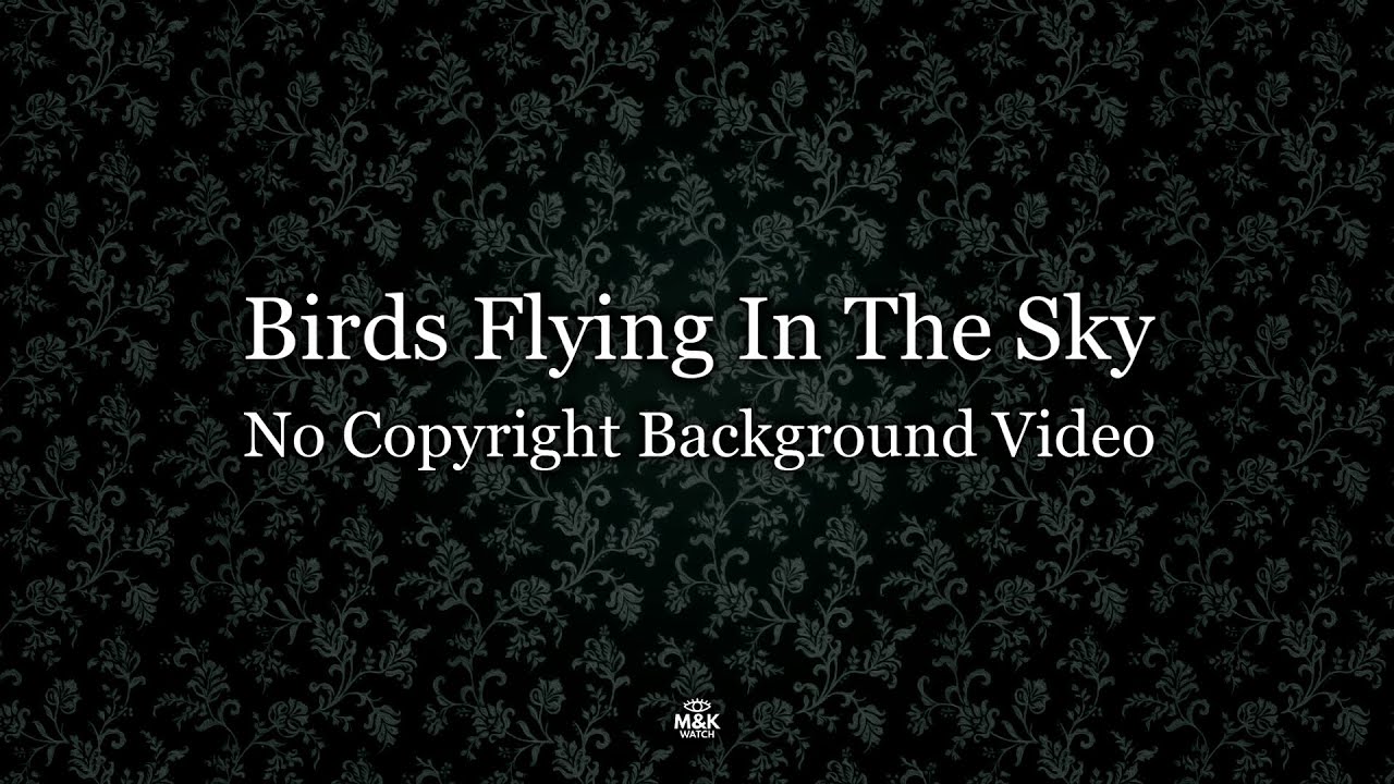No Copyright Background Birds Flying In The Sky Video - Free Stock Footage