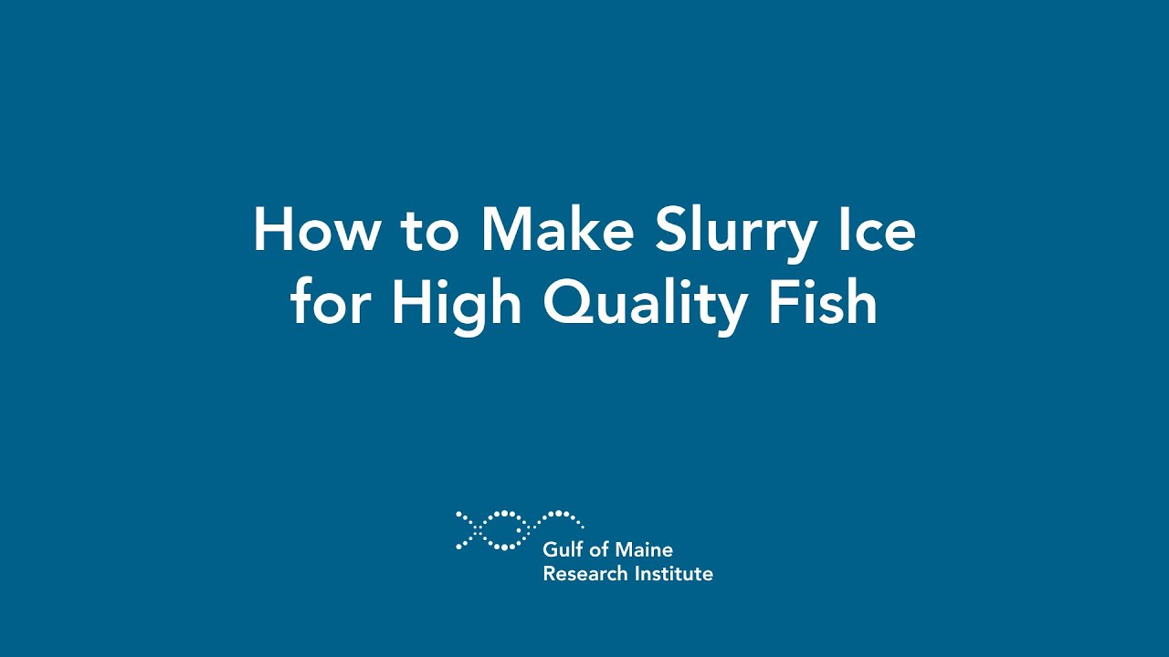 How to Make Slurry Ice for High Quality Fish