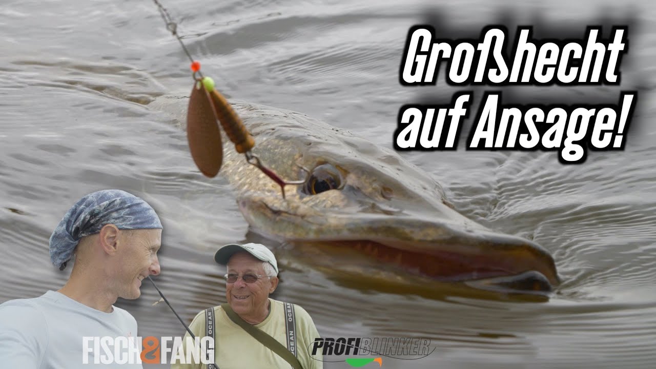 Mission Brassenfresser, Großhecht auf Ansage