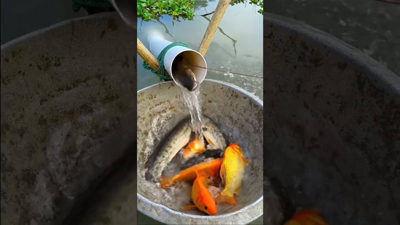 Village people fishing in muddy water #ruralfishing #handfishing #shorts #0041