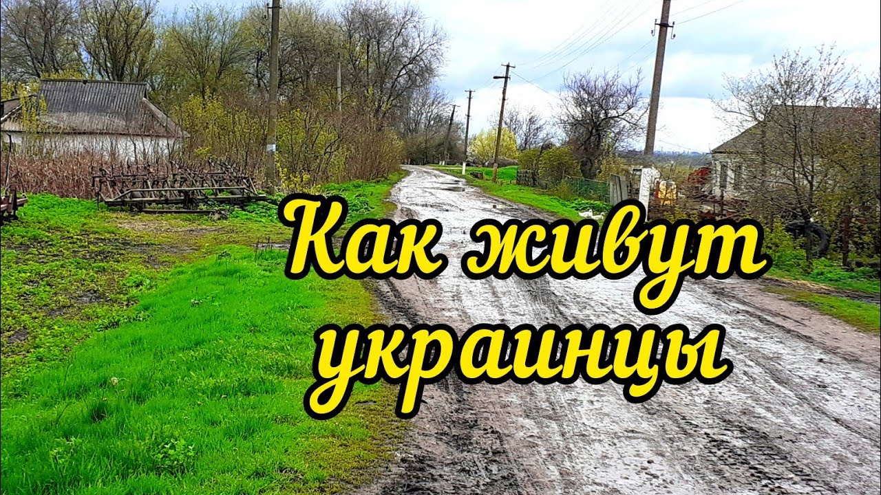 Харьков сегодня.Слобожанское село.Заброшенные дома.Аисты.Цветущий тёрн.