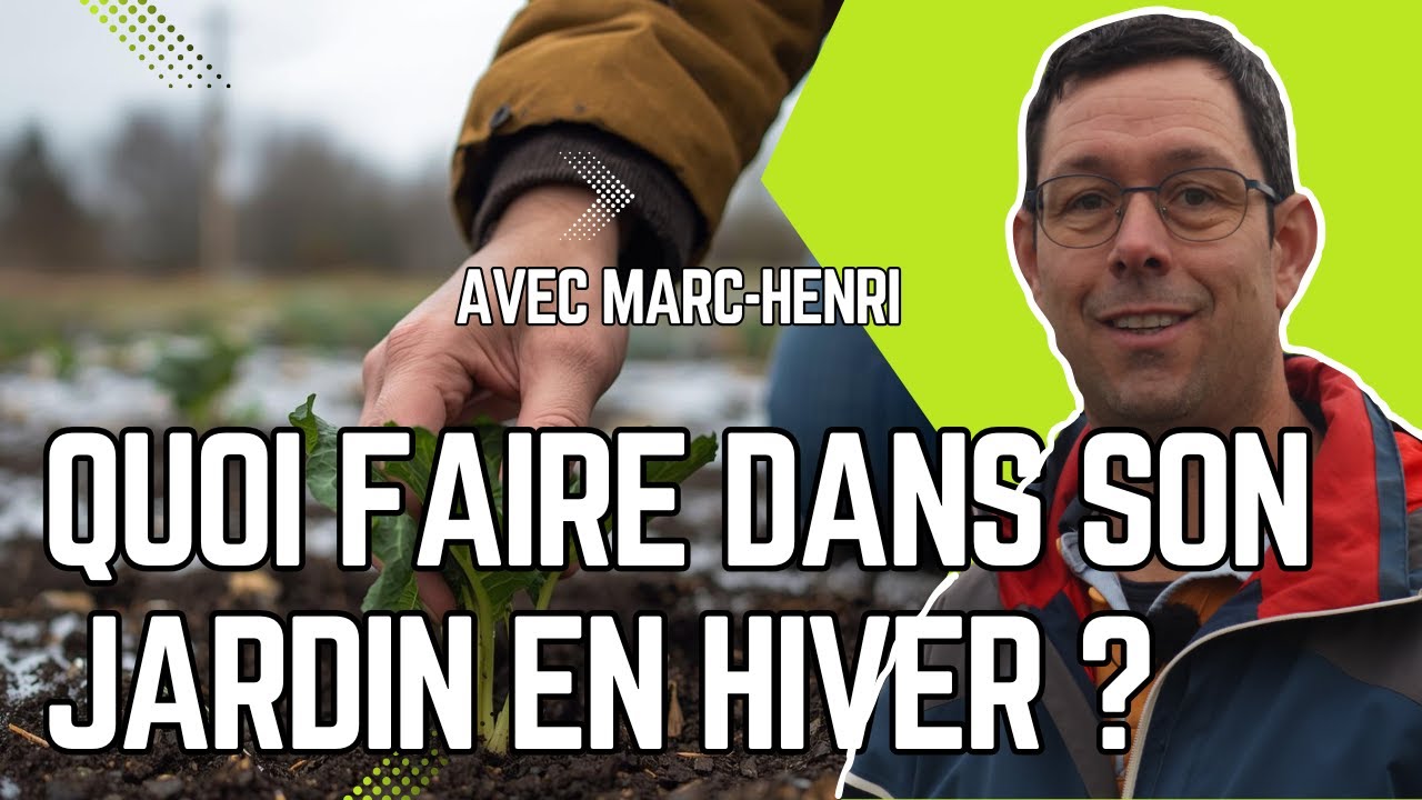 QUE FAIRE dans son JARDIN en HIVER ? Les BONS GESTES