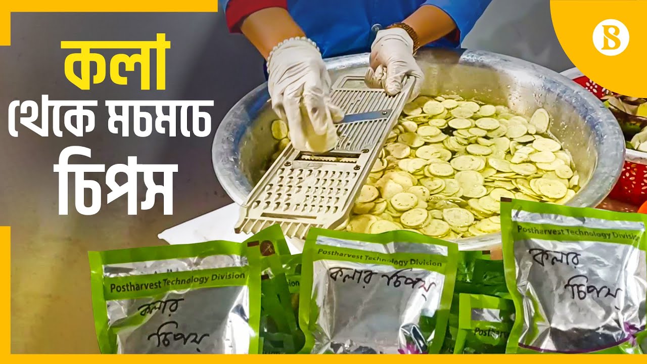কলা থেকে চিপস বানানো হচ্ছে যেভাবে | Banana | Potato | Chips | The Business Standard