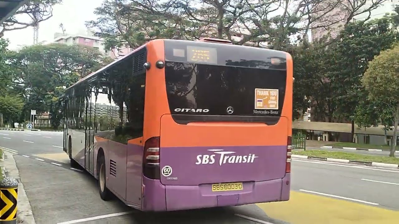 SBS Transit SBS6003D Mercedes O530 Citaro 265