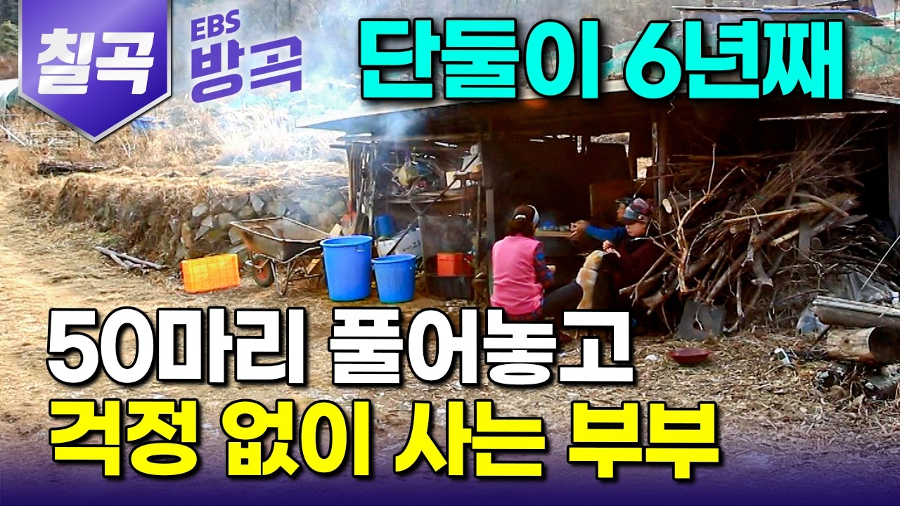 [경북 칠곡] 