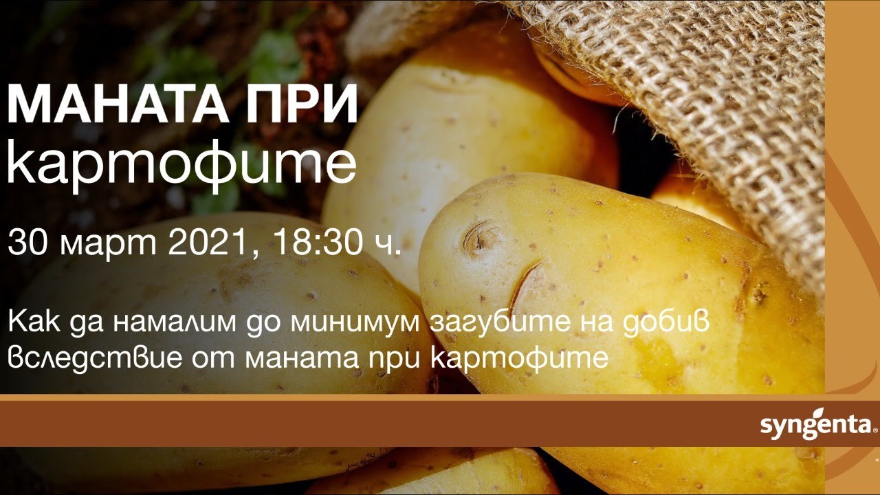 Мана при картофи