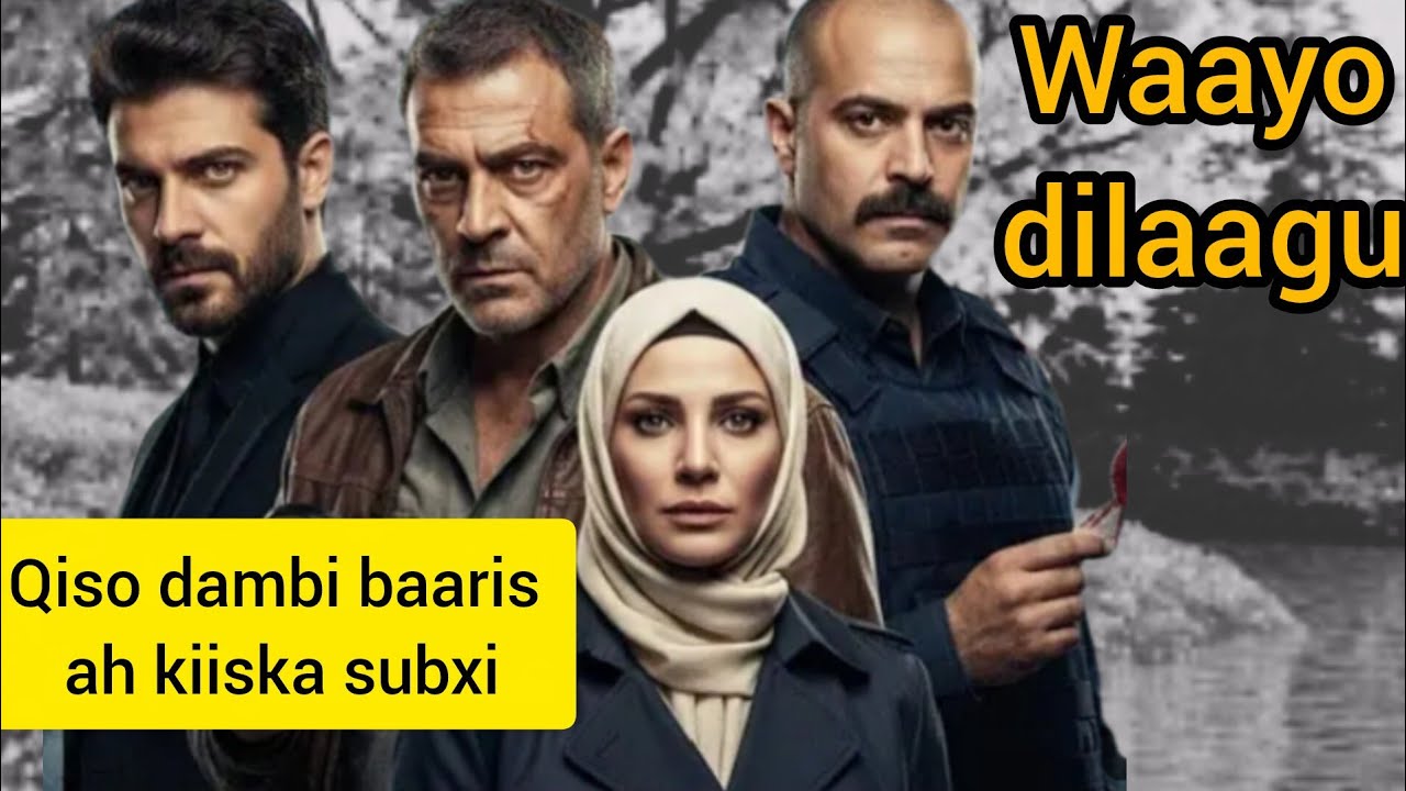 Qiso dambi baaris ah kiiska subxii waayo dilaagu ...... hafsabilanchannel
