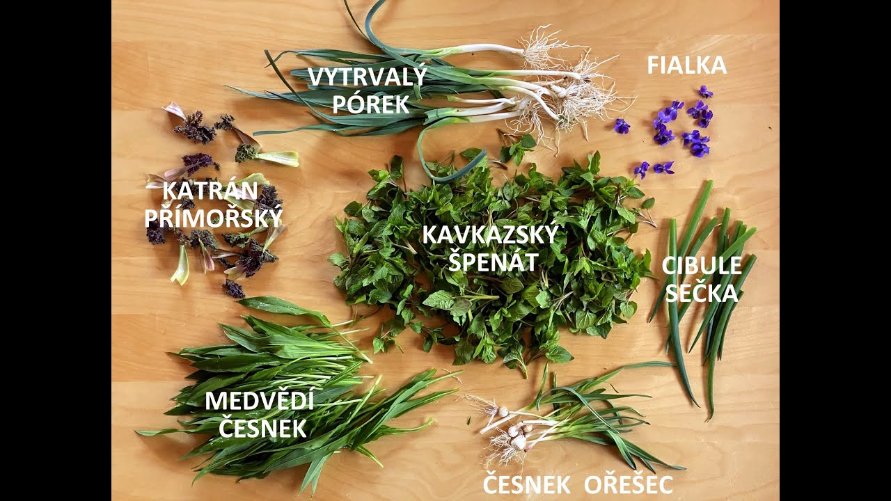 Sedmero jedlých trvalek