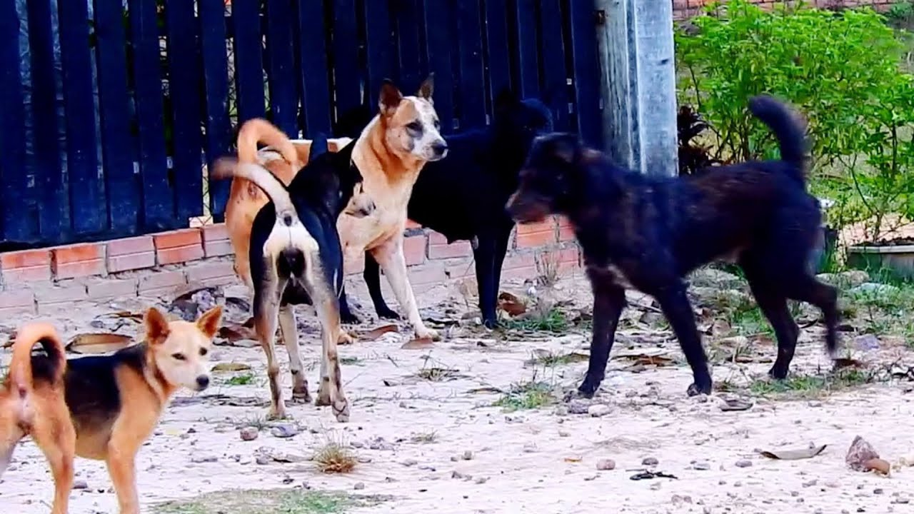 Good team boy love boy young boy try to hugs friend more and more sweet life