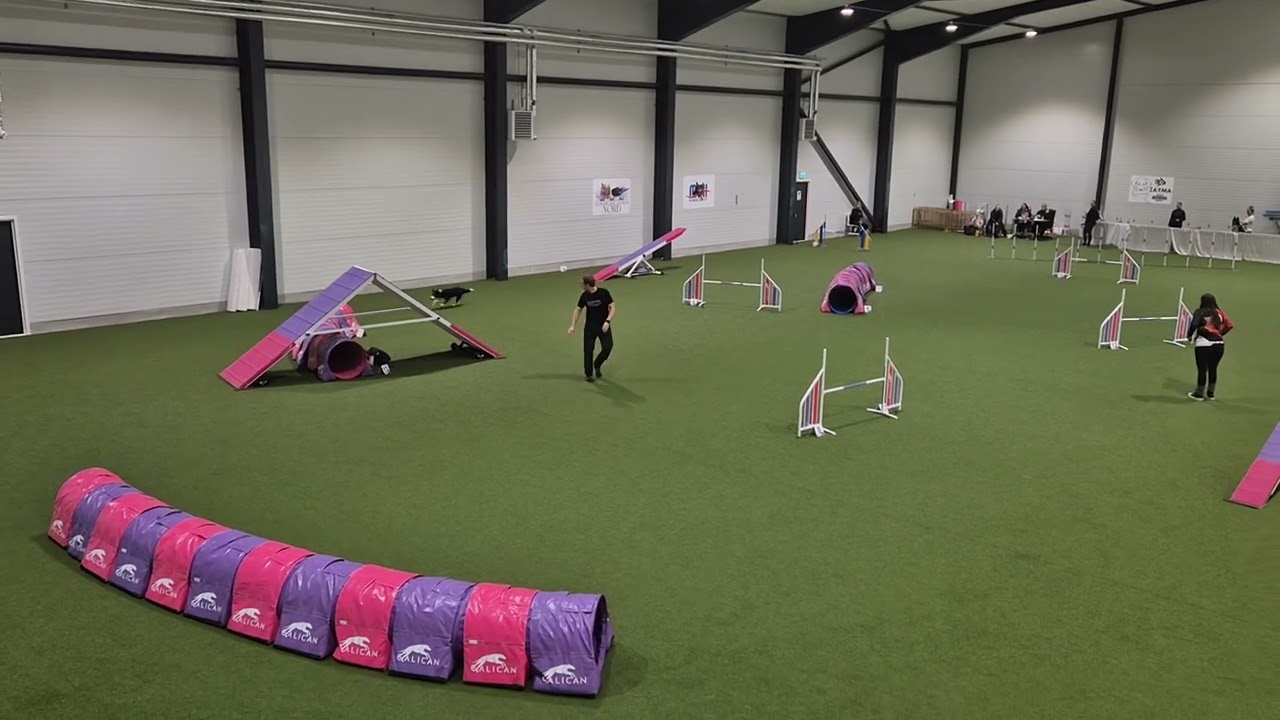 Adventskampen - Agility 2B - Daniel och Vilgot