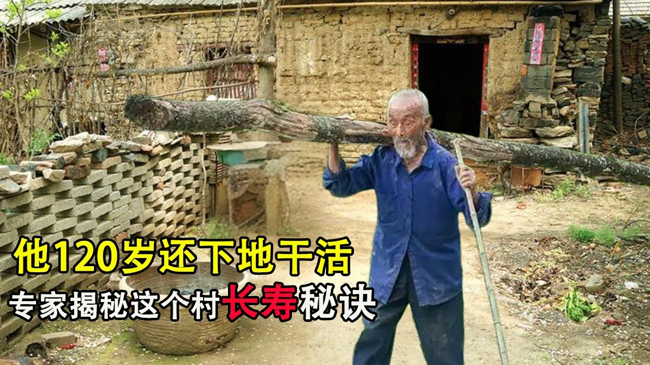 他120岁还在下地干活，从清朝活到现在，这个村为啥百岁老人这么多？