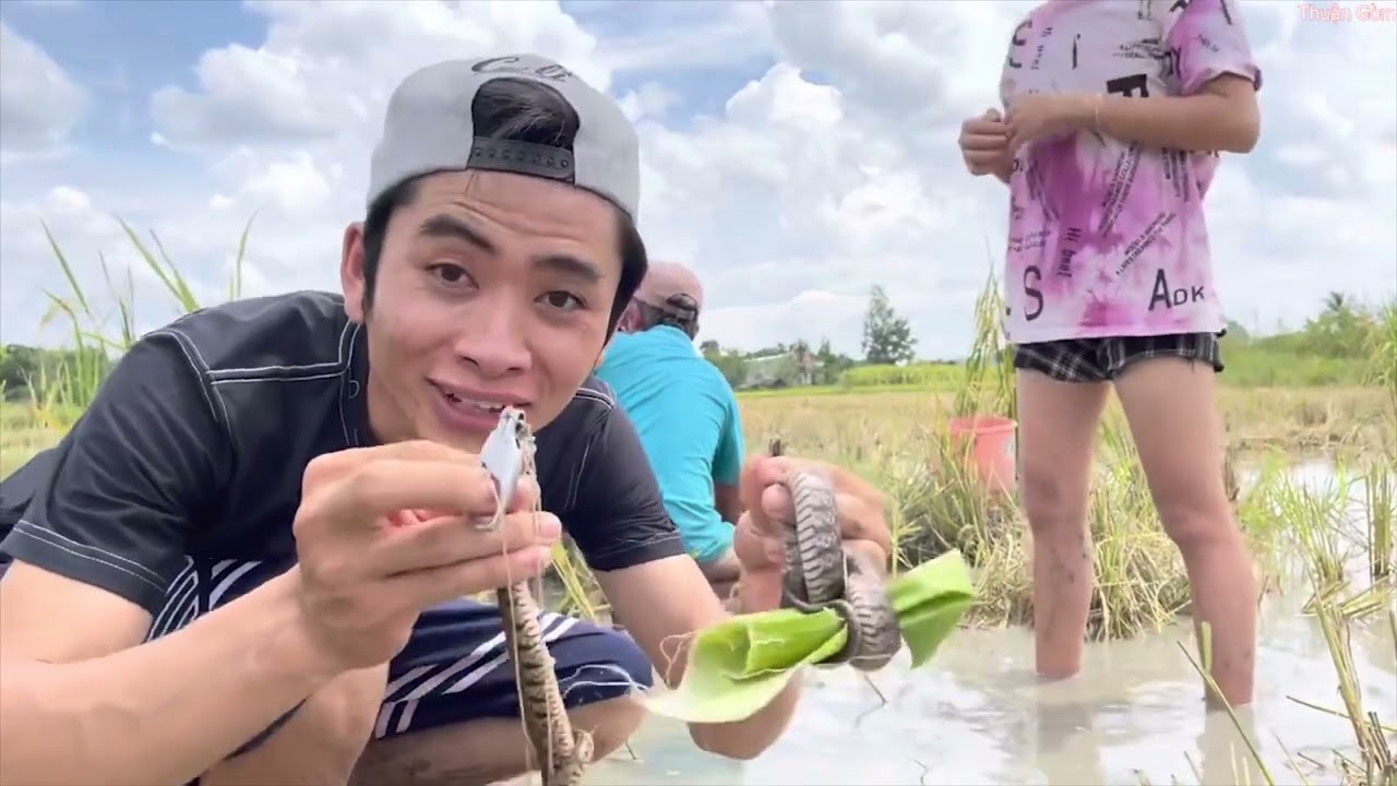 Thuận Gòm Troll Rắn Cậu Tài chạy xanh mặt không thấy lối về và Cái Kết-video này ai còn nhớ-video cũ