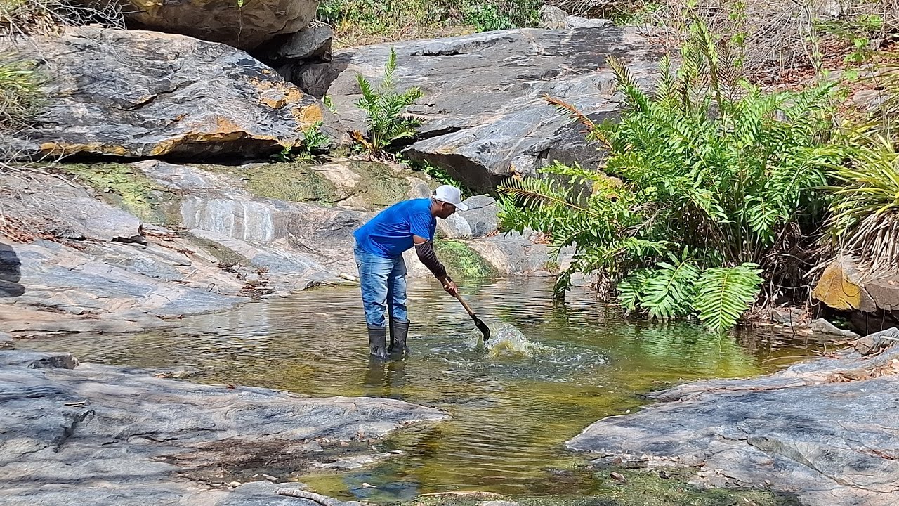 Olho d'água secreto que salva a vida selvagem da caatinga e do serrado #natureza 