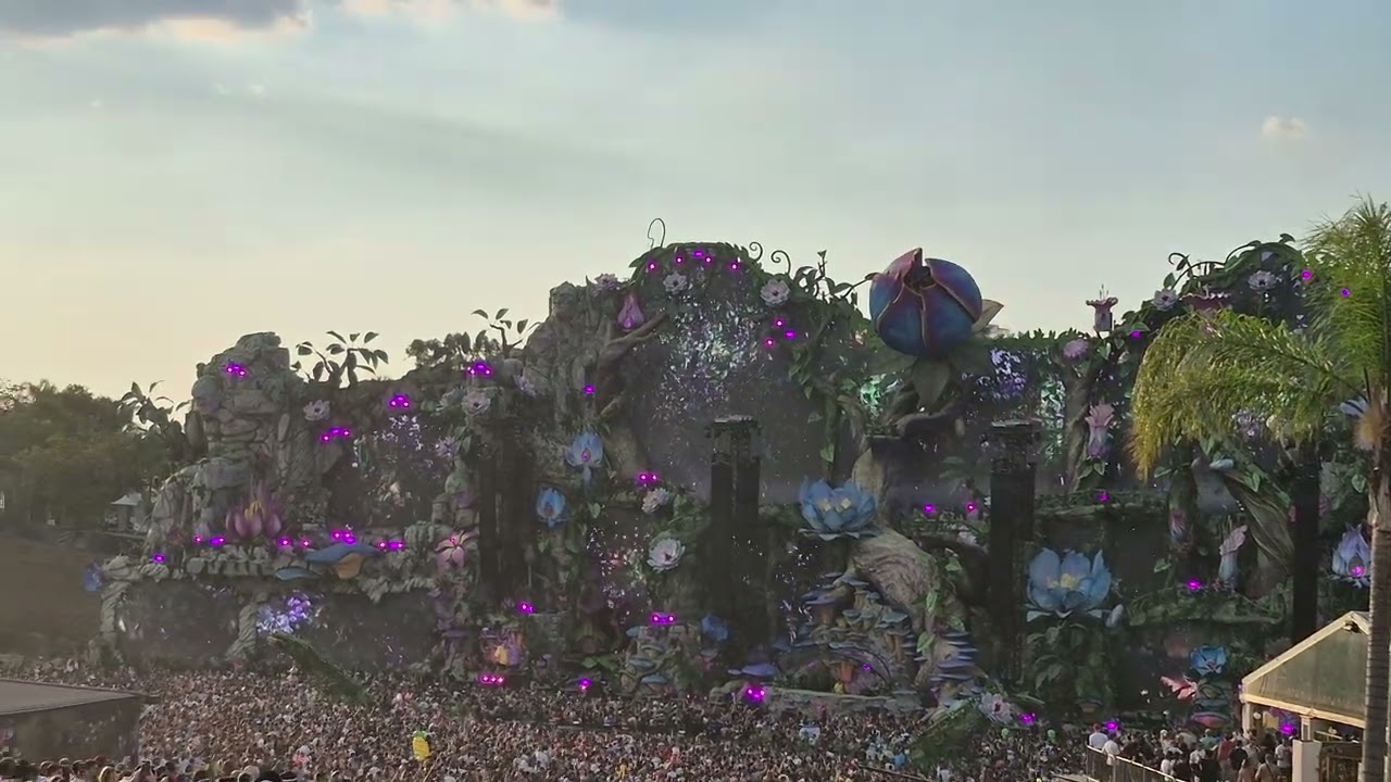 POV - Henri PFR Tomorrowland Brasil 2025